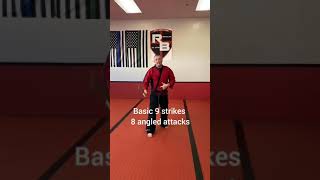 Escrima Stick Drills, Basic Strikes, Adrenaline Training Center