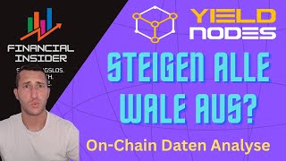 : Verlassen die Wale das Schiff On-Chain NFT-Daten näher angeschaut