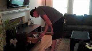 Is The Lemos Baby A Boy Or Girl