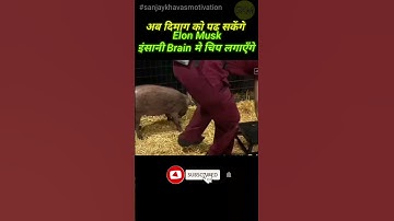 🔥इंसानी दिमाग मे चिप Elon Musk NEURALINK FACT🔥WHAT WILL WORK,BRAIN CHIPS #shorts monkey experiment
