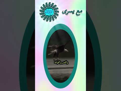 اوقح شخص