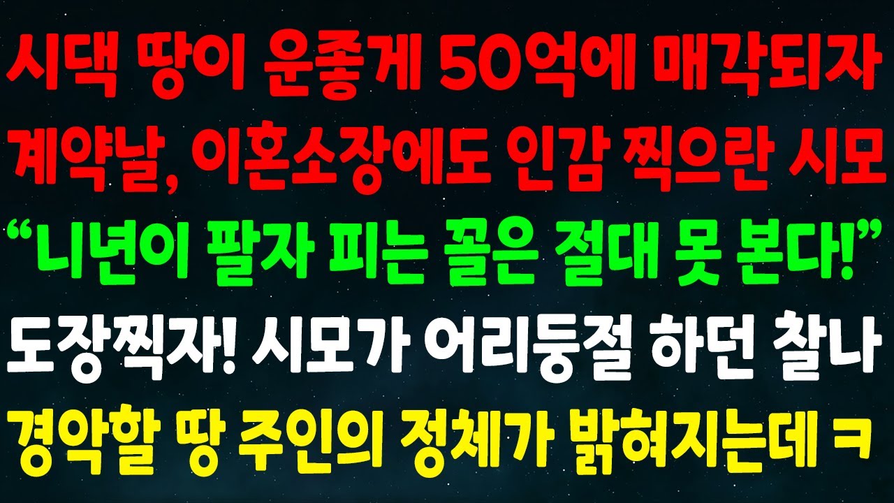 (실화사연) 시댁 땅이 50억에 매각되자 계약날 이혼소장에도 인감 찍으란 시모 