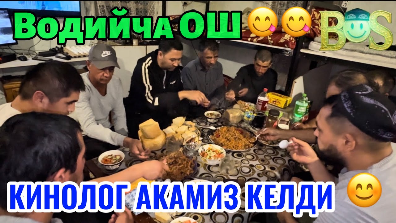 “Янги одам, катта масъулият — фермада иш бошланди”#рекомендация #чорвачилик #ферма #узбекистан 