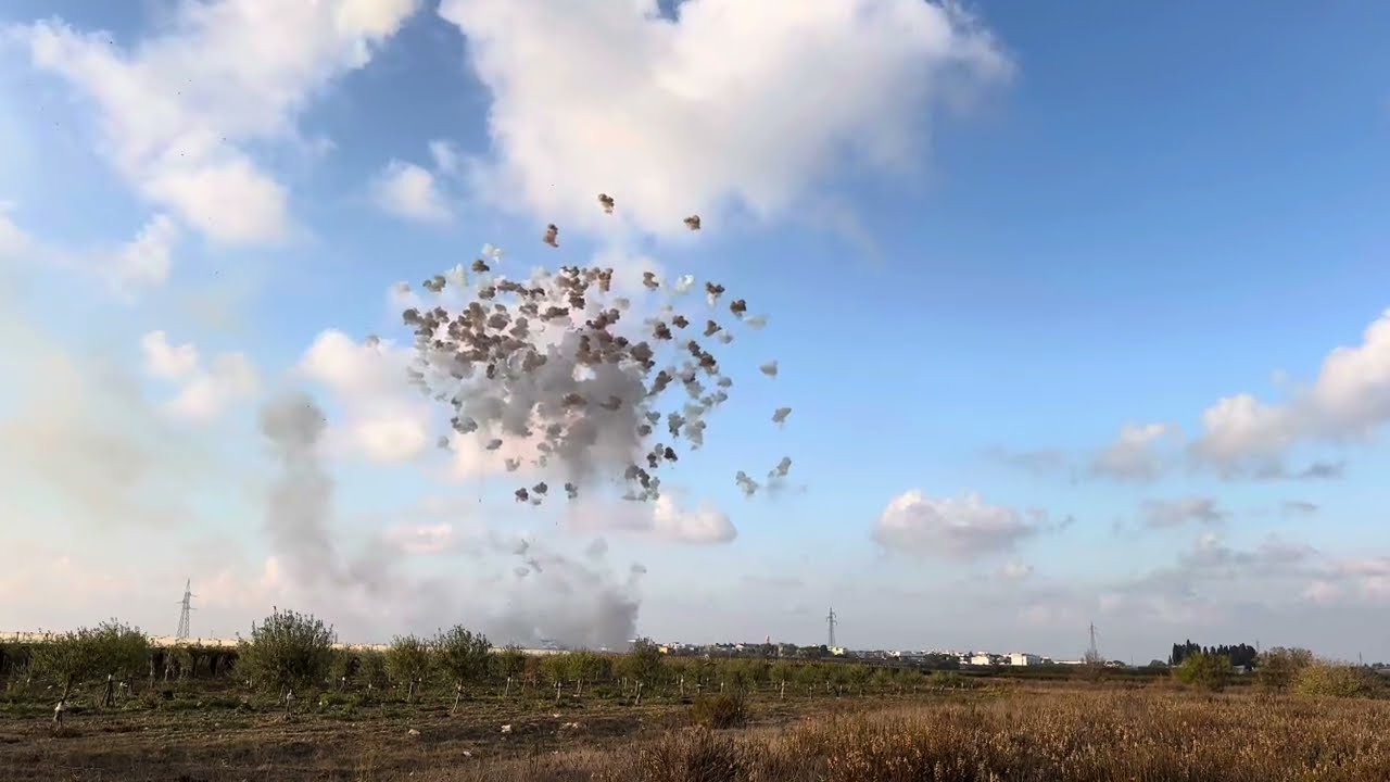 Adelfia 10 Novembre 2024 Festeggiamenti San Trifone Martire e Spettacolo Pirotecnico PEPE LUCA