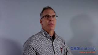 Celebrity Revit to Advance Steel Net Worth