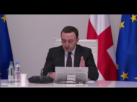 საფრთხე არ გვემუქრება, მშვიდად გავაგრძელოთ ქვეყნის შენება - ღარიბაშვილი
