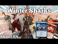 Is Hollow Nights Cutter COMPLETELY CRACKED?! | Winter Sharks | Modern | MTGO