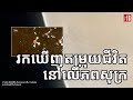តើពិតជាមានជីវិតនៅលើភពសុក្រ ឬយ៉ាងណា?