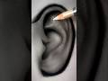 How to Draw an Ear for Beginners | Easy Step-by-Step Drawing Tutorial #shorts