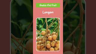 Guess the Fruit by Silhouette | Fun Kids Guessing Game | Bella & Bruno | Learn and Play