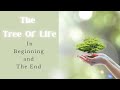 Tree of Life | In The Beginning & The End | Bible Study