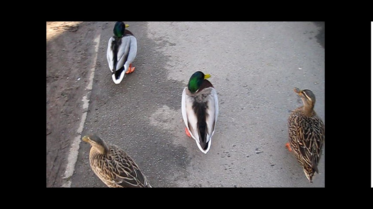 お話をしたいが・・・ま・・・　2026/02/28