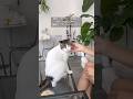 お盆🐈