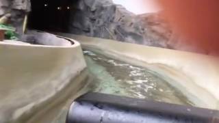 Log Chute