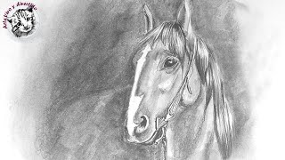 Como Dibujar Un Caballo A Lapiz Paso A Paso