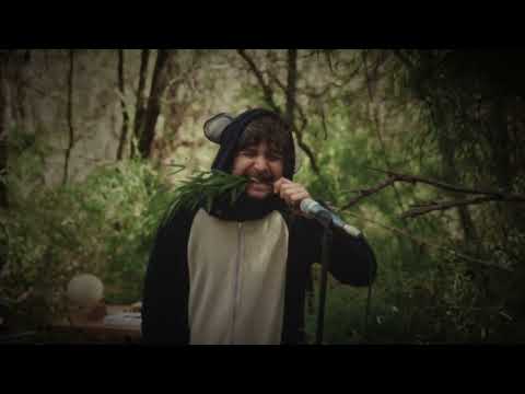 Ver Pandas - Juan Nazar