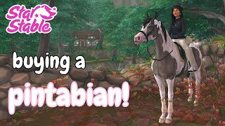 buying a pintabian! - star stable