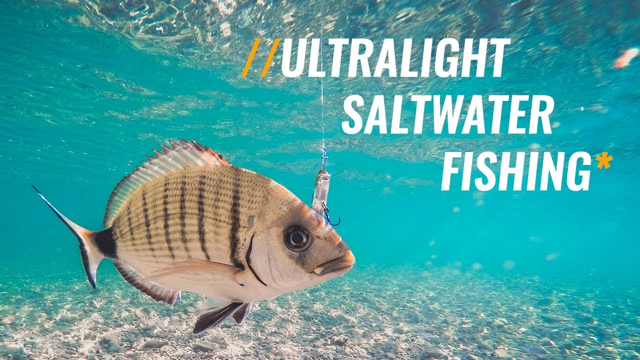 Ultralight Saltwater Fishing 
