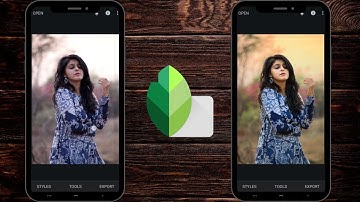 Portrait Editing in Snapseed Using a RAW File