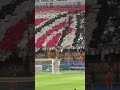 تيفو التراس وايت نايتس في مباراة الزمالك و فيوتشر Championsleague الزمالك Caf Future Zamalek 