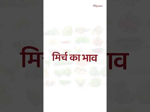आज का ताज़ा मंडी भाव राजस्थान!  - आज का ताज़ा मंडी भाव राजस्थान! 