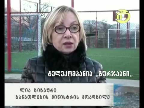 2015   წელს  განხორციელებული   პროექტები პანკისის საჯარო სკოლებში