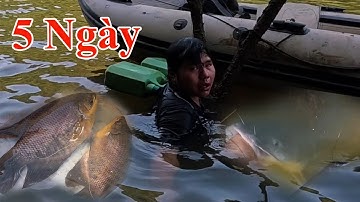 Quá sâu rồi nó nằm tuốt ở dưới |5 Ngày câu cá rừng già|