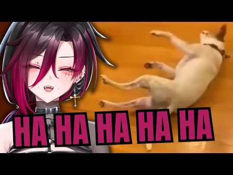 Mykora FAILS AGAIN | Try Not to LAUGH 😂 Challenge IMPOSSIBLE