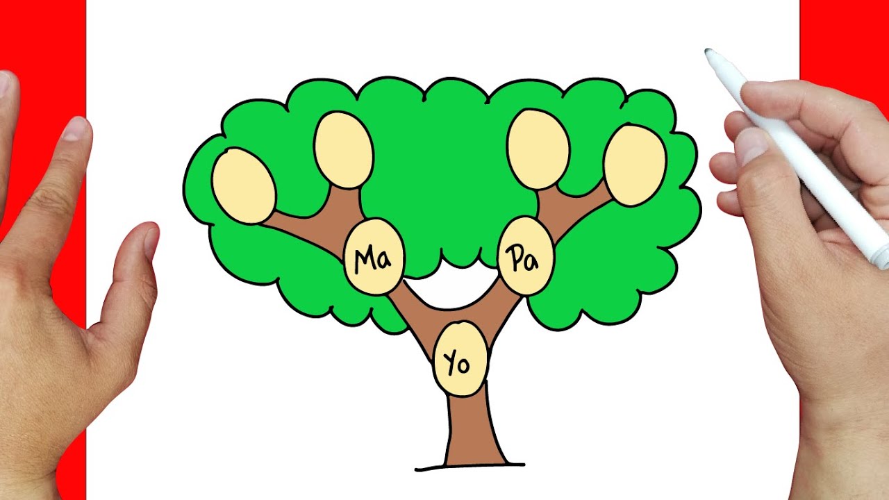 como dibujar un arbol genealogico