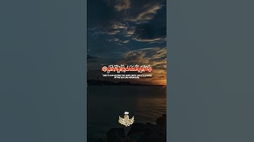 عبد الباسط عبد الصمد تلاوة خاشعة حالات واتس اب قرآن كريم
