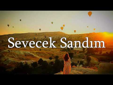 Semicenk Sevecek Sandım Sözleri Lyrics