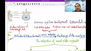 1. Basics of Neuroanatomy for USMLE - (Free trial Link in Description Below) screenshot 1