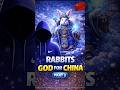China's Controversial Rabbit Experiment: Science or Sorcery? #short #facts