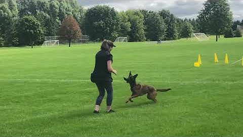 Location specific markers