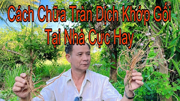 Ai Bị Viêm Khớp Tràn Dịch Khớp Gối Hãy Tìm Ngay 4 Bài Thuốc Này 