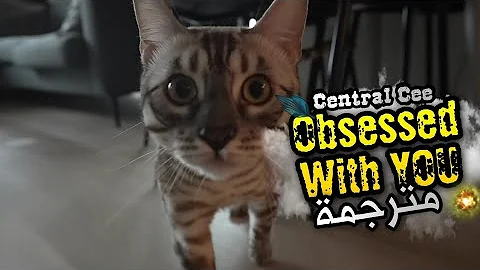 Central Cee - Obsessed With You مترجمة للعربية