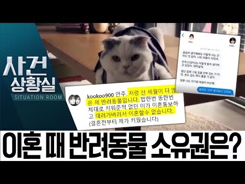 ‘1일 2폭로’ <strong>구혜선</strong>, 반려묘·결혼 규칙이 문제? | 사건상황실
