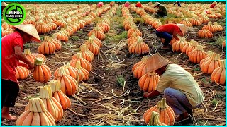 : The Most Modern Agriculture Machines That Are At Another Level , How To Harvest Carrots In Farm 3