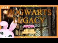 【 ホグワーツ・レガシー 】 初見プレイ 🎀ウィズリー先生を探せ 【 Hogwarts Legacy / Harry Potter / ハリポタ 】