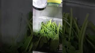 엄청 편한 채소씻기 채반 screenshot 5