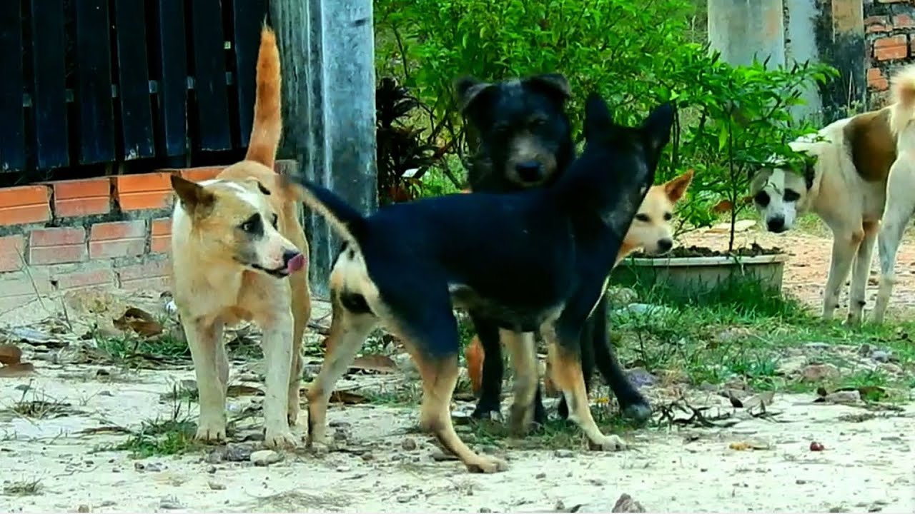 Good luck happy natural life sweet time many many style to kiss Hope have News Pregnant