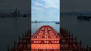 Docking maneuver.#shipping #tugboat #pilot #maneuver