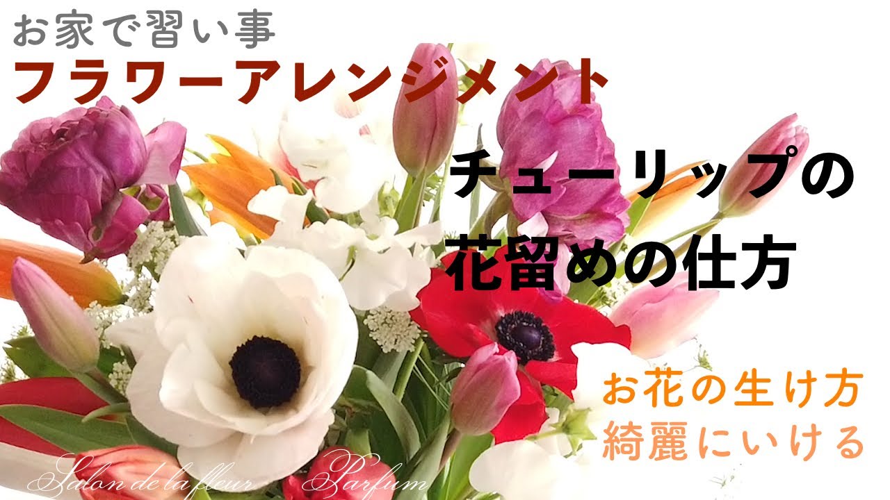フラワーアレンジ チューリップの花留め 投げ入れの仕方 お家で習い事 初心者 季節のお花 花の下処理の仕方 Youtube