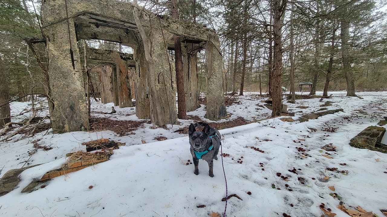 Slippery, Icy Hike at Estell Manor Park - Duck Farm Loop