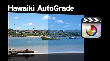 Hawaiki AutoGrade for Final Cut Pro X