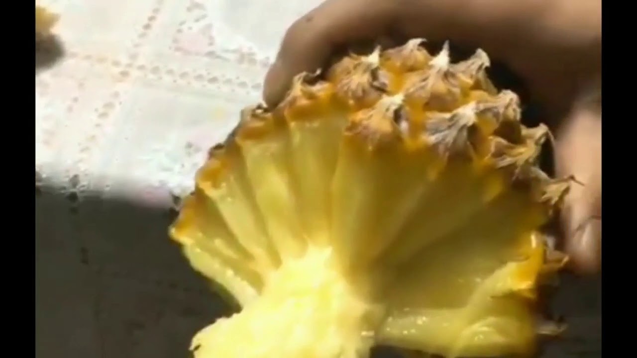 Nonton Pineapple Video Viral Twitter Disgusting HD Version VIDEO TWITTER VIRAL