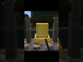 Ring for what? #shorts #minecraft