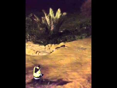 مدني الباحة المفقودان في سيل قوب ب رغدان مقيم وطفلاه1