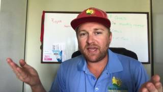 How to Price Hedge Trimming | Our System