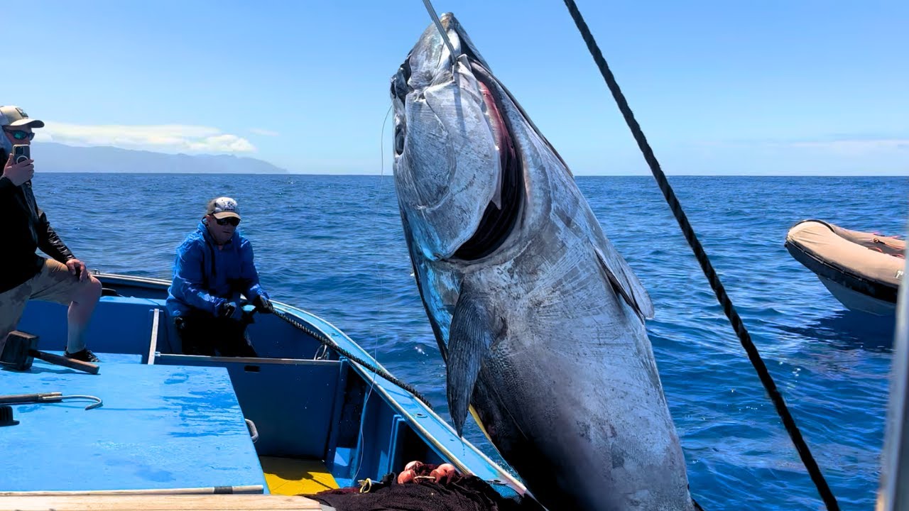 5 jours pour attraper un Thon Rouge GÉANT aux Canaries